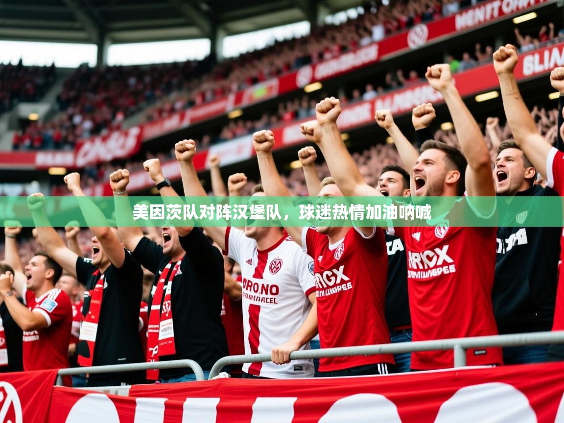2025华体会体育网站赞助的国米美因茨队对阵汉堡队，球迷热情加油呐喊