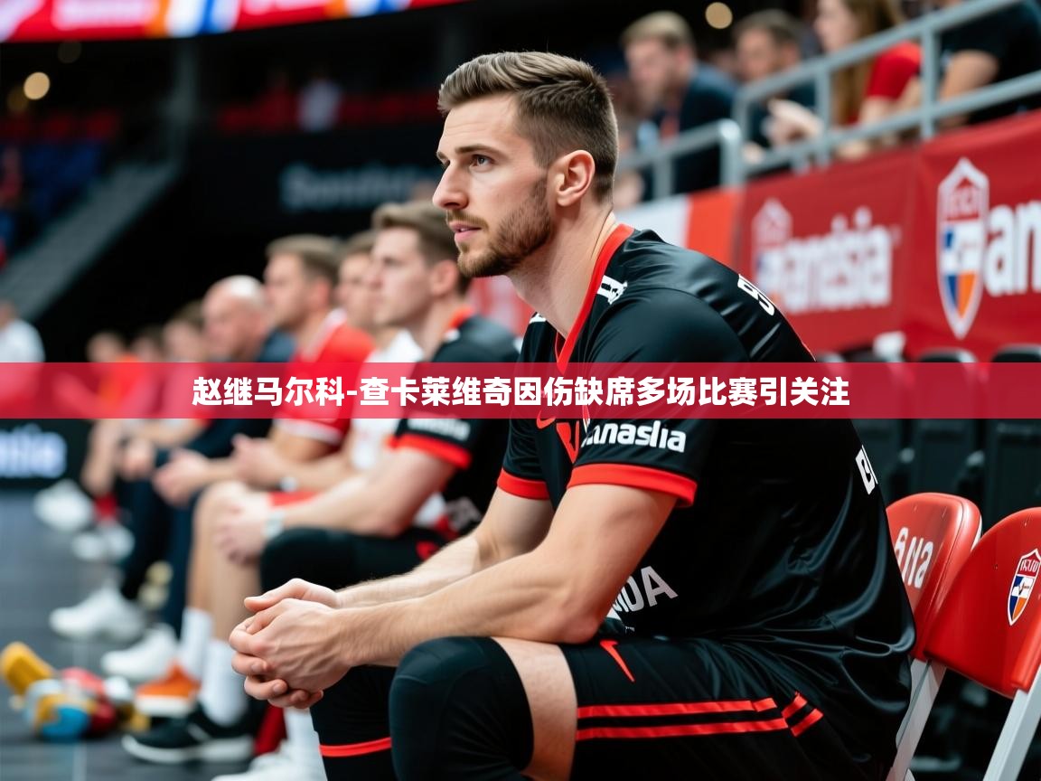 2025华体会体育网站国米赞助商赵继马尔科-查卡莱维奇因伤缺席多场比赛引关注 第3张