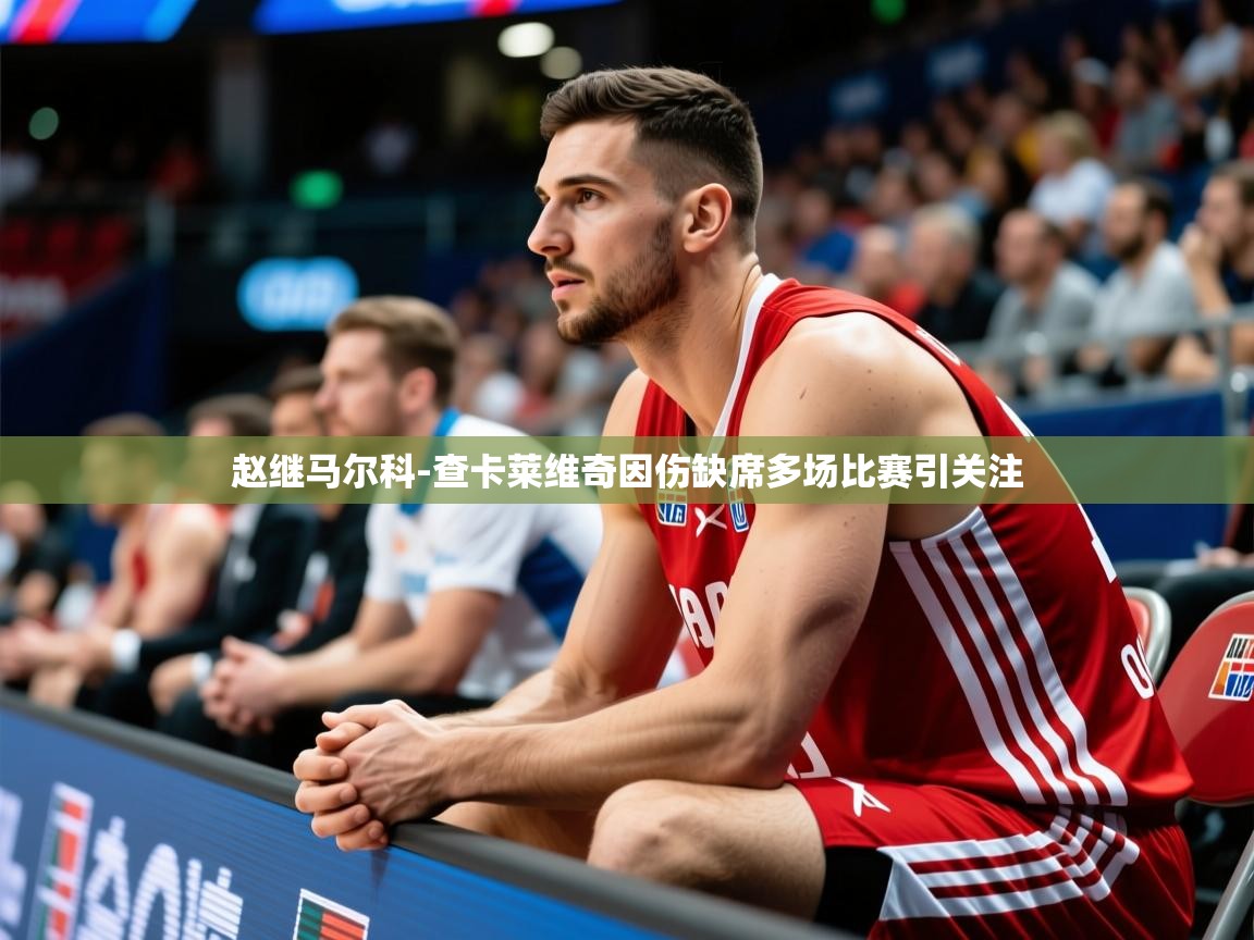 2025华体会体育网站国米赞助商赵继马尔科-查卡莱维奇因伤缺席多场比赛引关注 第4张