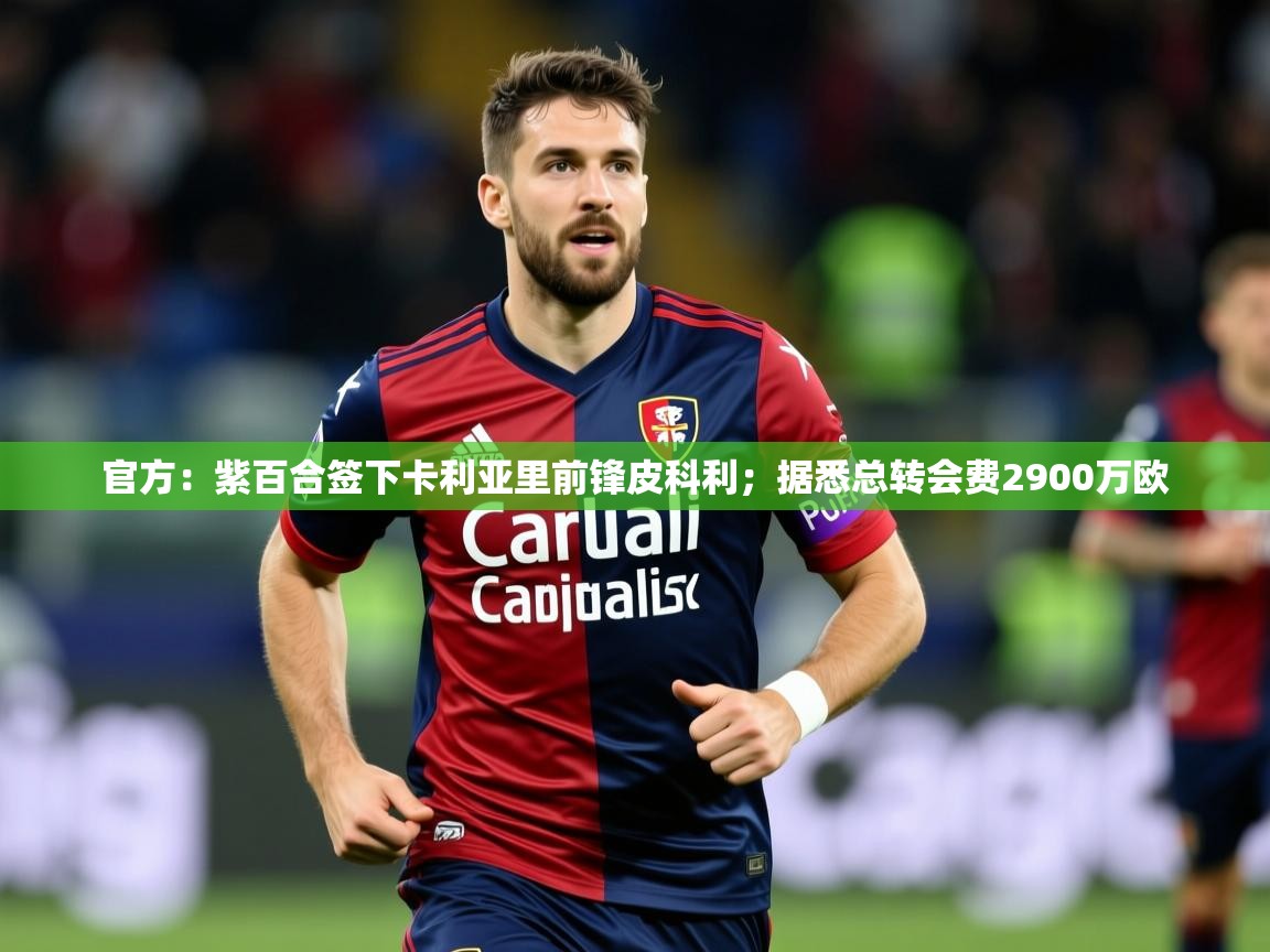 2025华体会体育最新官方入口官方：紫百合签下卡利亚里前锋皮科利；据悉总转会费2900万欧