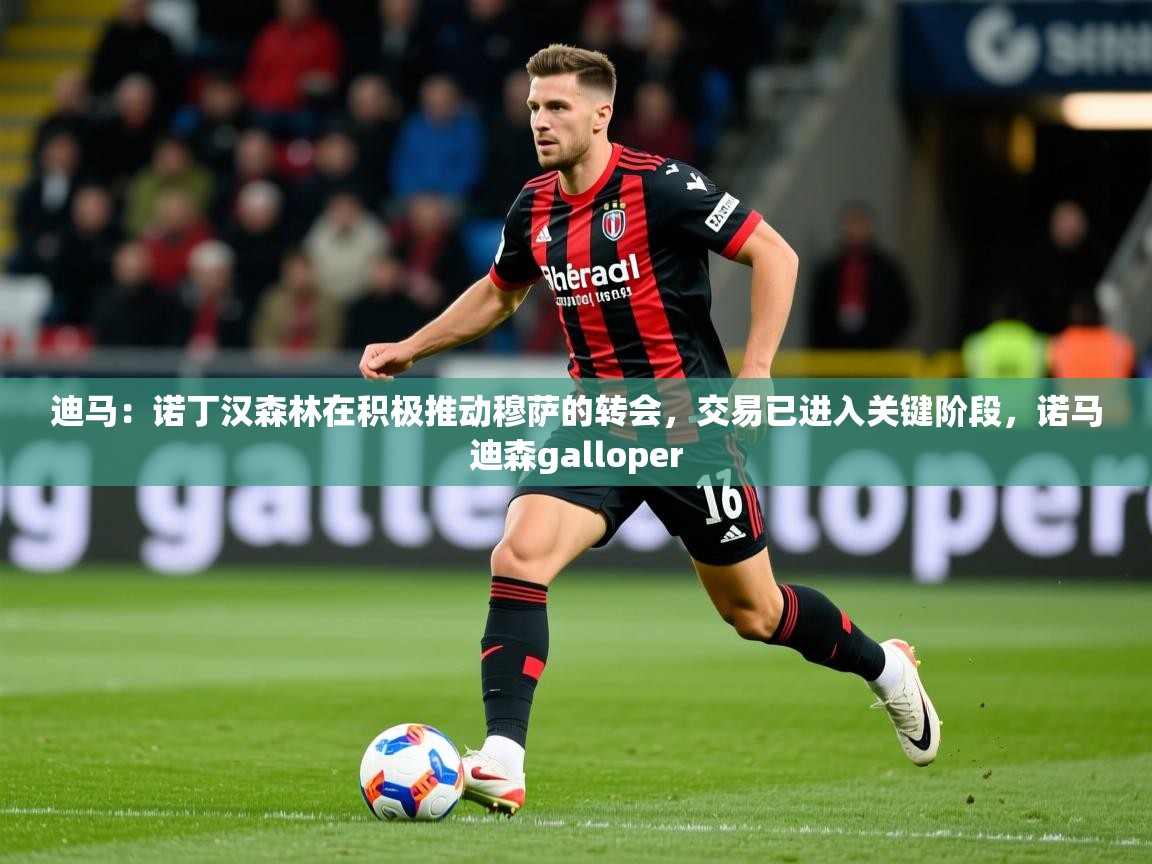 2025华体会体育下载迪马：诺丁汉森林在积极推动穆萨的转会，交易已进入关键阶段，诺马迪森galloper